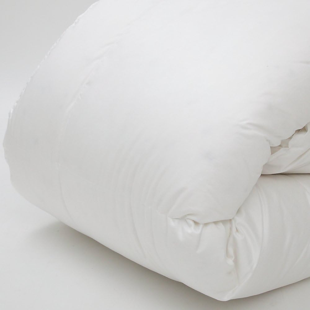 東京西川 掛け布団 クイーン 羽毛 BODY LINE 東京西川 掛け布団 東京西川 掛け布団 クイーン 羽毛 BODY LINE 東京西川 掛け布団