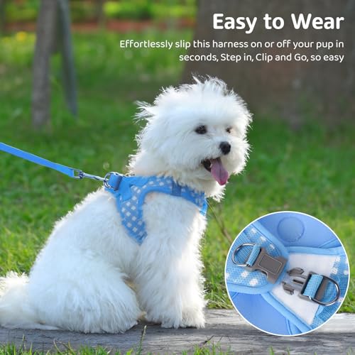 Savlot Reflektierendes Hundegeschirr für kleine & mittelgroße Hunde, Sicherheitsgeschirr mit Step-in Design für Nachtspaziergänge, Y-Form & Haarschonend (XS-L, Blau)