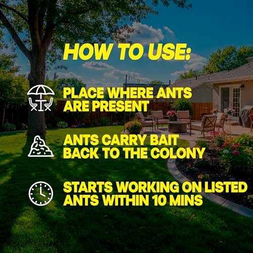 Image of Raid Outdoor Liquid Ant Bait, Starts Killing Listed Ants Within 24 Hours, Effective Outdoors, Pre-Filled and Ready-to-Use, 8 Bait Stations Per Pack, 2 fl oz