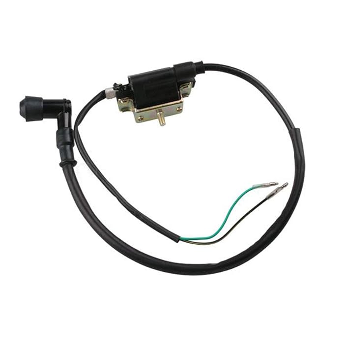 Buy Promax 2Wire Ignition Coil for 4stroke 50cc 70 cc 90cc 110 cc