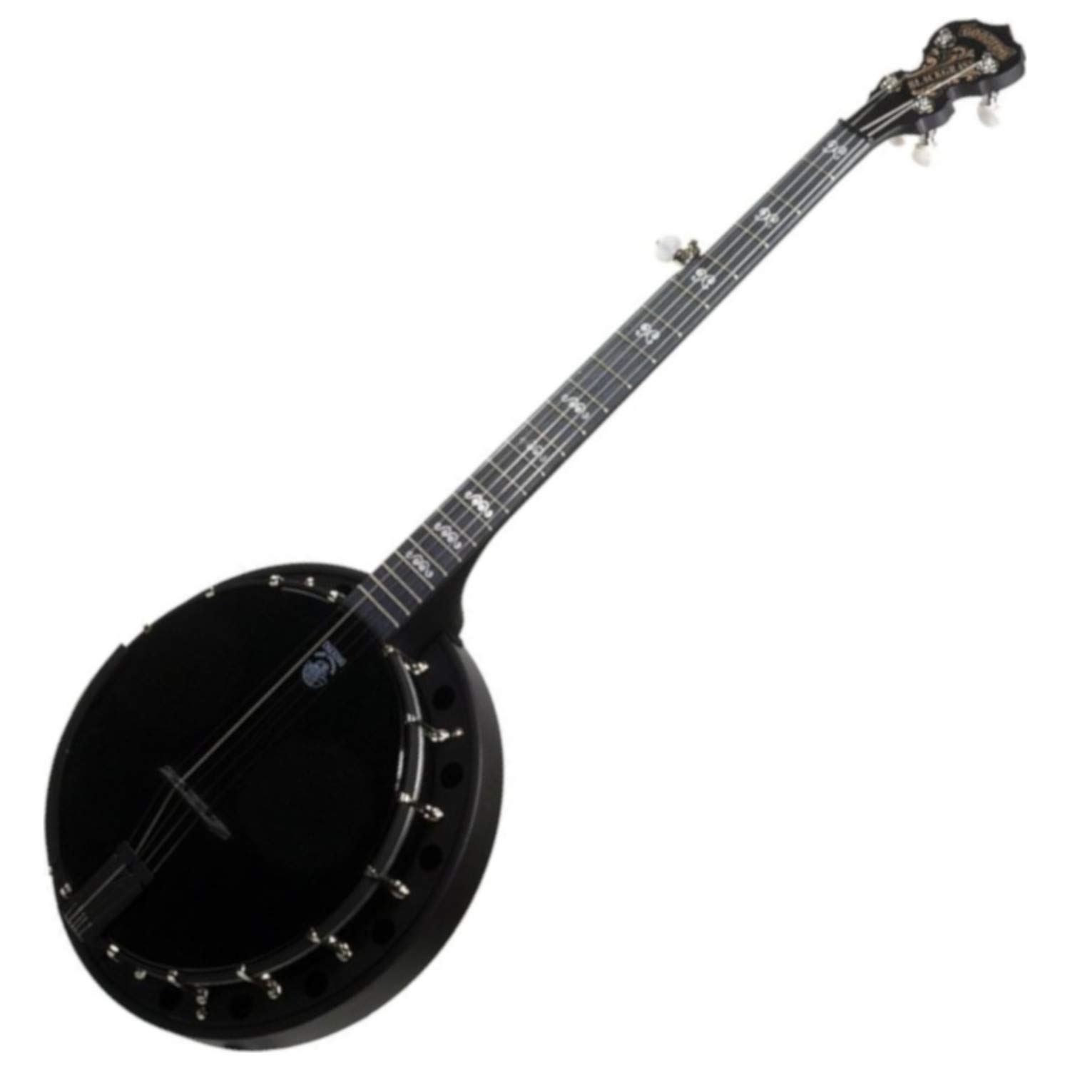 Blackgrass Goodtime 5-String Banjo by Deering
