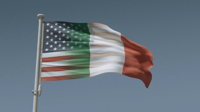 Bandiera Americana 3x5 Piedi Con Occhielli - Bandiere Stati Uniti - Foto 5