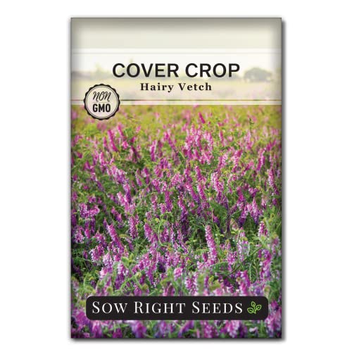 Sow Right Seeds - Hairy Vetch Seed for Planting - Cover Crops to Plant in Your Home Vegetable Garden...