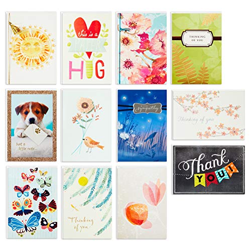 Hallmark All Occasion Cards Assortment-Thinking of You, Thank You, Sympathy Cards (12 Cards, Refill Pack Card Organizer Box)
