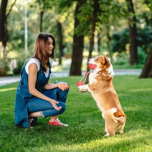 Hundespielzeug mit Saugnapf, interaktives Hundespielzeug, wiederverwendbarer Ball mit Seil, Hundespielzeug, Beißring für kleine und große Hunde