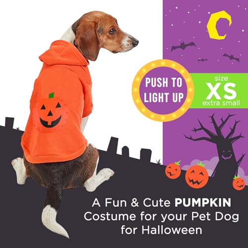 Disfraz Halloween con Capucha Calabaza para Perro X-Small miniatura 2