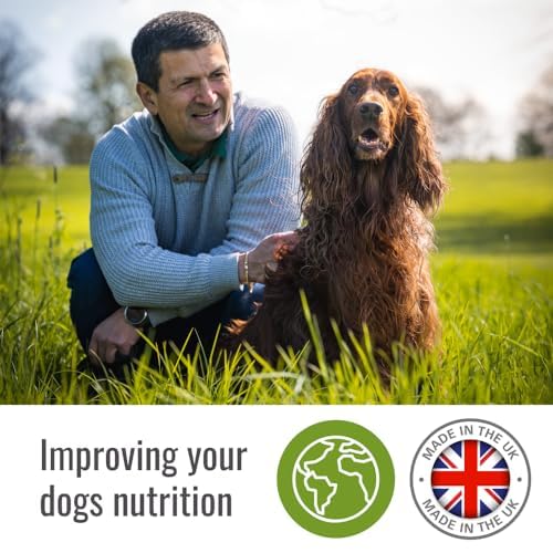 Kiss Me Again (For Medium & Large dogs)