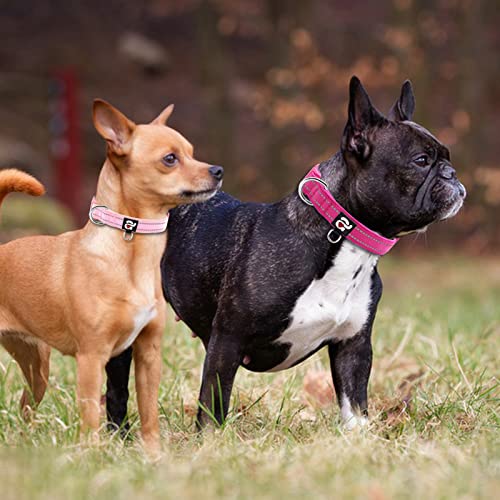 Azuza 2 Pack Reflective Soft Neoprene Padded Dog Collars, Adjustable Pet Collar With Id Tag Ring, Safe And Comfy For Small Dogs,Hot Pink/Pink,S #TOP1