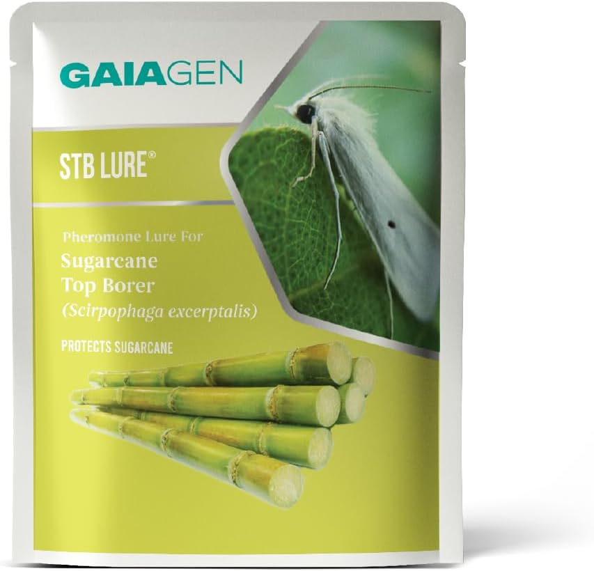 - GAIAGEN STB® Lure - Pheromone Lure for Sugarcane Top Borer (Scirpophaga excerptalis) | Pack of 10 | (Does not Include Traps)