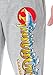 Thundercats Men's Classic Cartoon Logo Adult Loungewear Sleep Pajama Pants (Large) Heather Grey