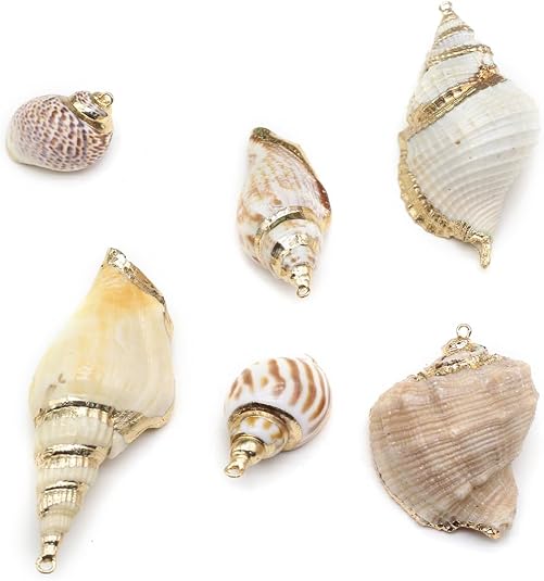 Amazon.com: Zotoone 20pcs Natural Shell Pendants Spiral Conch Shell ...