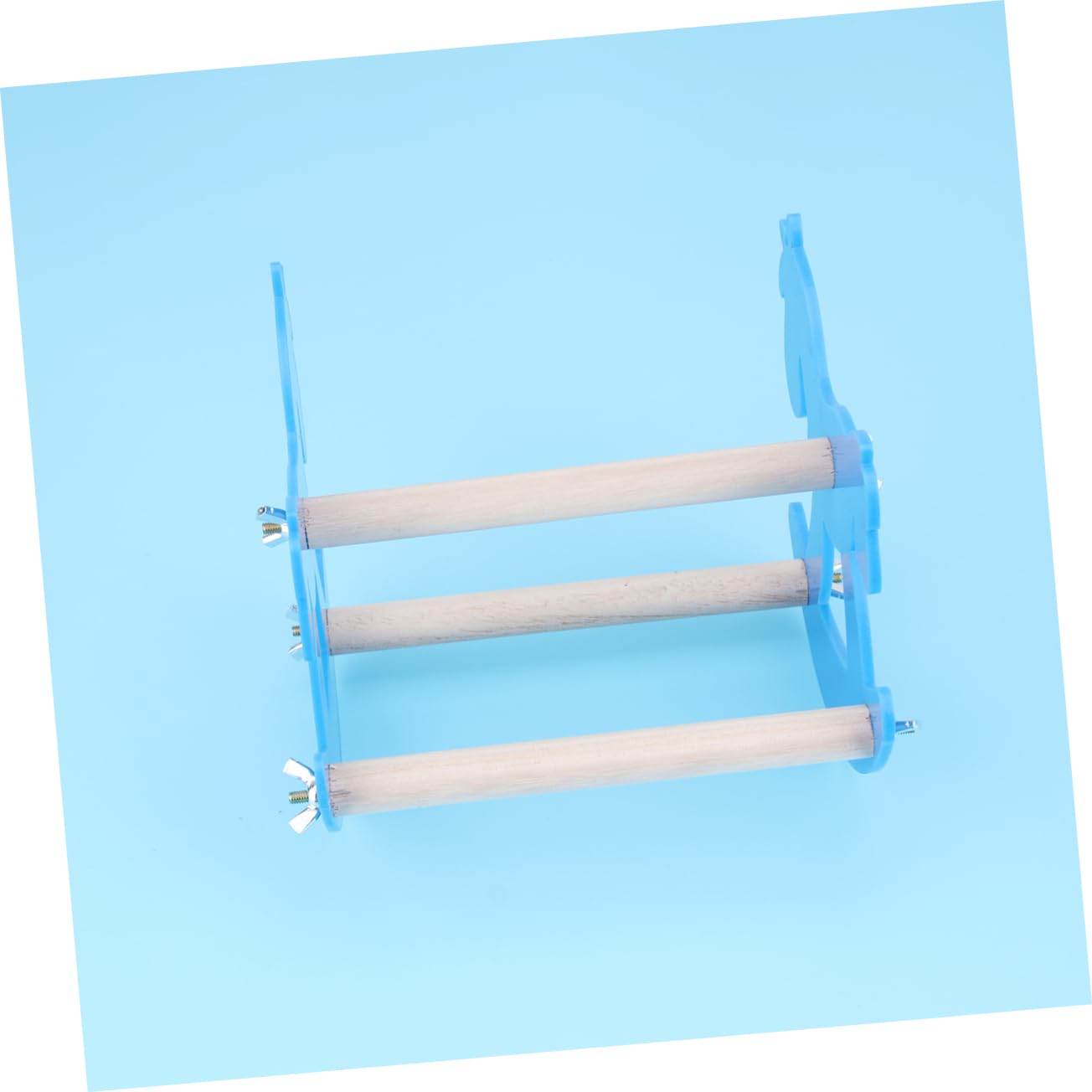 Beaupretty 3pièces Jouet à Mordre pour Perroquet Balancoire Et Acrylique pour Oiseaux Support De Couleur Aléatoire