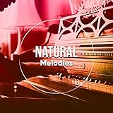 Borate Records