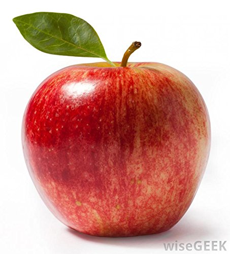 Creative Farmer Fruit Seeds : Apple Seeds Plant For Gardening Fruit Seeds Pack (B075PX26VH) Amazon Price History, Amazon Price Tracker