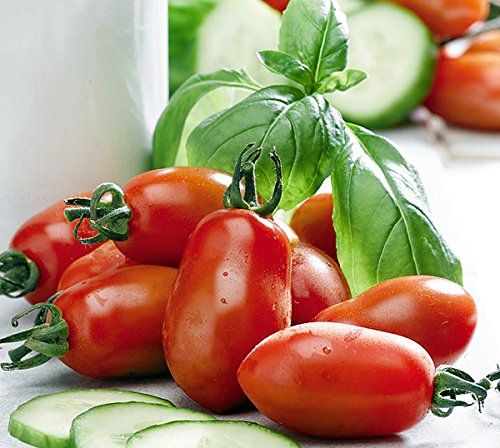 30 Italian San Marzano Paste Tomato Seeds, Heirloom Non-GMO, Indeterminate, Open-Pollinated, Productive, Delicious, from USA Solanum lycoperscium - Thumbnail 6