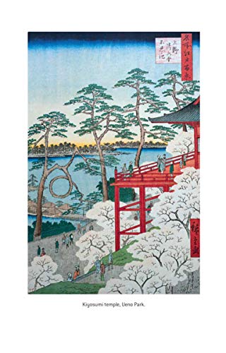 Tokyo: A Biography: Disasters, Destruction and Renewal: The Story of an Indomitable City