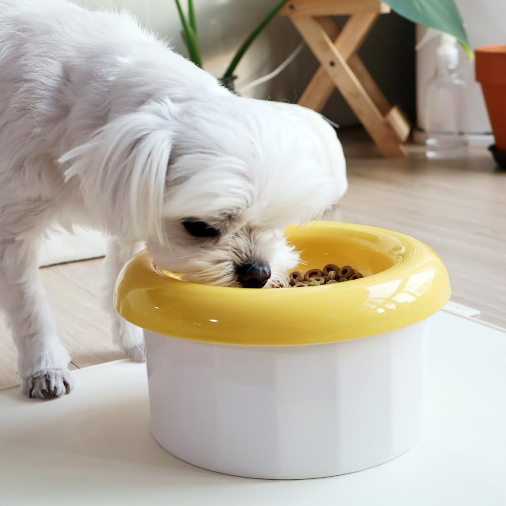 Hello Bowl Elevated Ceramic Cat Bowl with Stand, Raised Whisker-Friendly Feeding Bowl for Cats & Small Dogs, Patented Design, Made in Korea (3.9" H - Pink, Round/Wet)