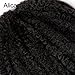 Alica 3 Packs Afro Kinky Marley Braids Hair Extensions Kanekalon Synthetic Twist Crochet Braiding Hair for Women 18 inchs (18