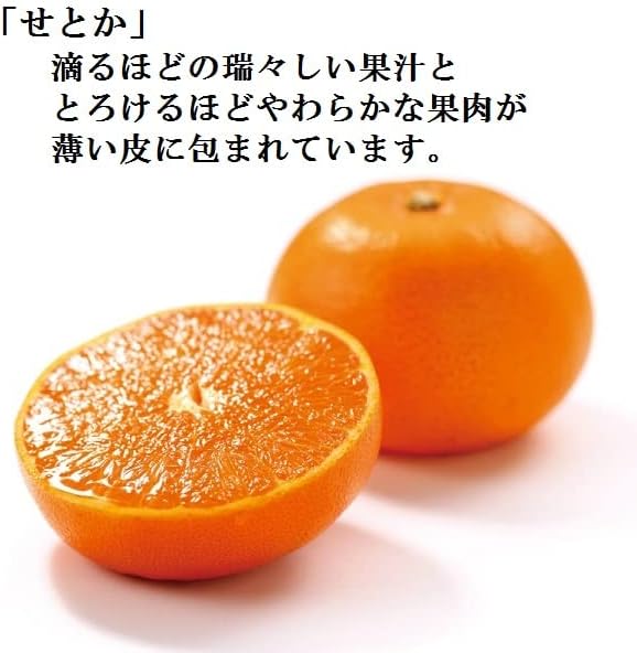 永楽屋 琥珀 せとかの雫 和菓子 京菓子 琥珀糖 京都 銘菓 お菓子 お茶菓子 茶菓子 ギフト お土産 贈答 贈り物 京都土産 お取り寄せ