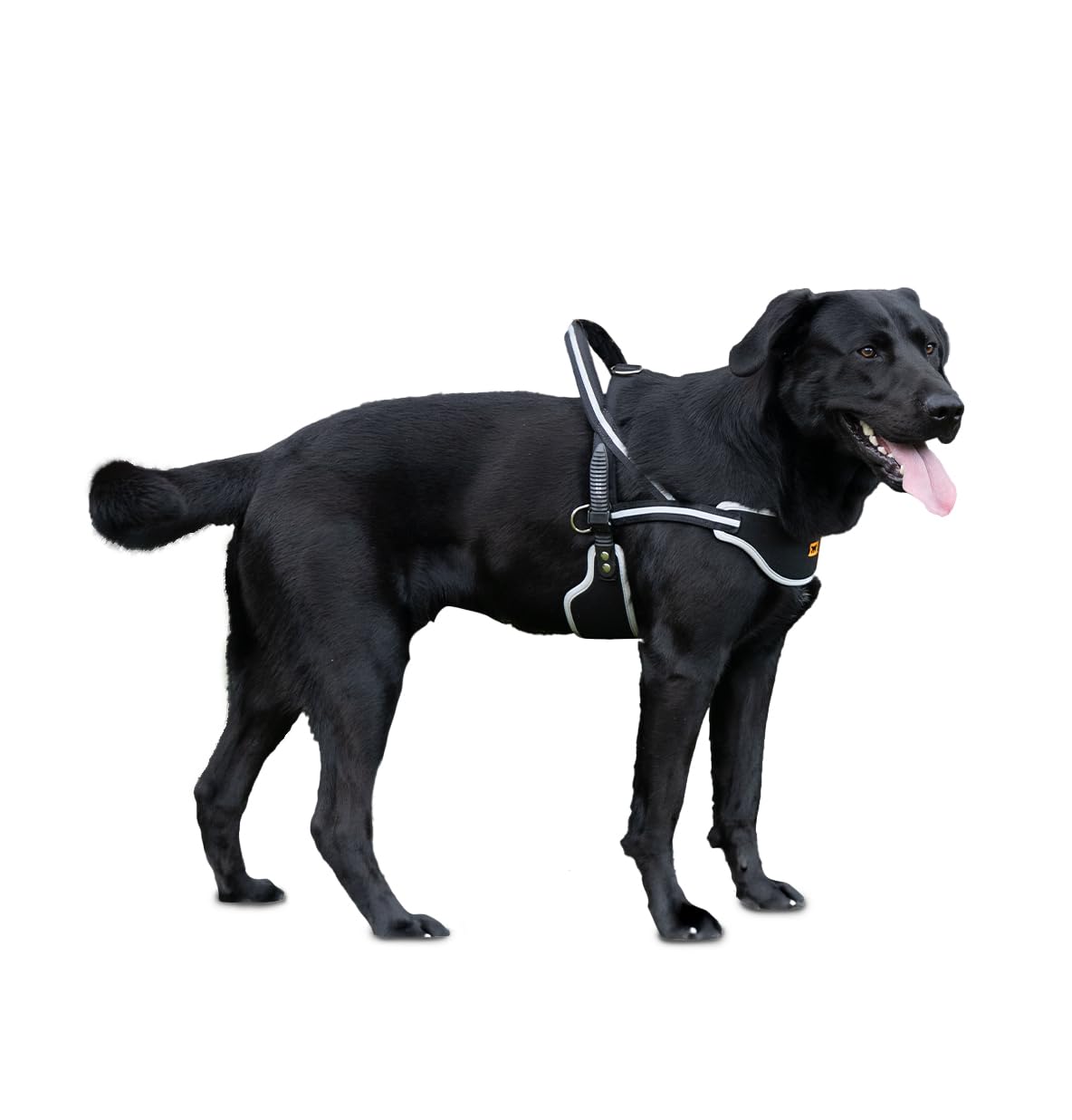 Ferplast Pettorina Cane ERGOCOMFORT NORDIC, Pettorina Svedese per Cane, Comoda Imbottita, Riflettente, Chiusura conMicroregolazione, Rilascio Rapido, LARGE