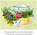KOSMOS 632090 - Kräuter-Garten, Züchte duftende Kräuter auf der Fensterbank, Mit Gewächshaus und Mörser aus Porzellan, Experimentierkasten für Kinder ab 6 Jahre