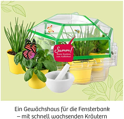 Kräuter-Garten - Image 4
