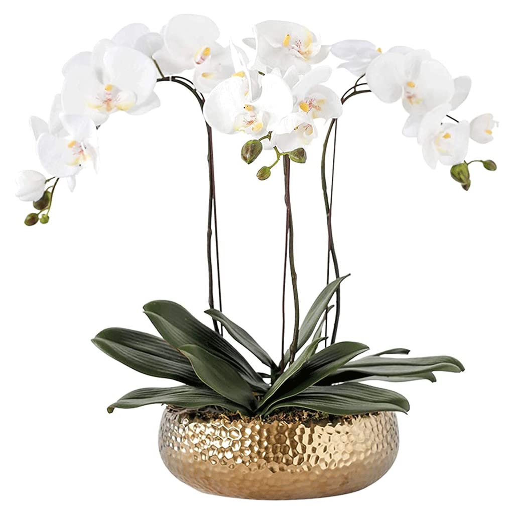 IUokLU Artificial Orchid Flowers,Artificial Orchid Artificial Phalaenopsis Flowers Realistic Faux Orchids - Classic Orchids Artificial Bonsai Arrangement for Home Decor