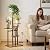VonDream 3 Tier Plant Stand Indoor, Tiered Plant Stands for Indoor Plants Multiple, Corner Flower Stand for Living Room, Multi-Layer Vintage Design Plant Shelf