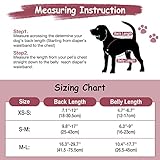 Pet Soft Hundewindel-Hosenträger, 2 Stück Hunde-Hosenträger für Hundewindeln, Hundepampers, Bauchbänder, Haustier-Kleidung (Beige-Wine, L)