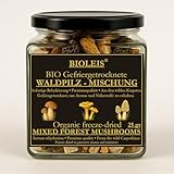 BIO LEIS in harmony with nature