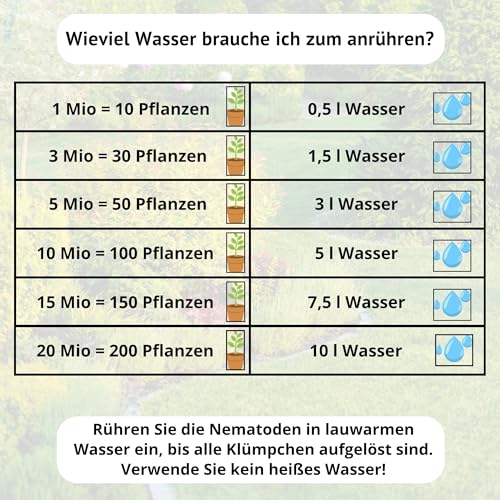 FairyFly® SF Nematoden gegen Trauermücken (10 Mio für 20 m² / 100 Pflanzen) – Nematoden zum Gießen für Zimmerpflanzen… – Ansicht 5