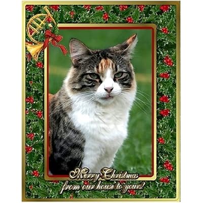 Christmas Card