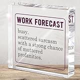 Funny Desk Accessories for...
