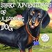 Short Adventures of a Loooong Dog: Children's Book about Funny Long Dog's Adventure in the Park (Loooong Dog's Adventures 1)