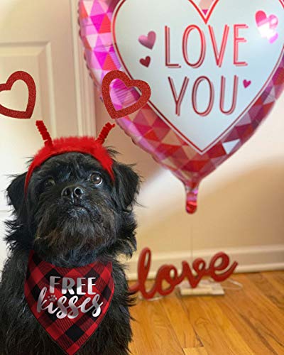 Disfraz para perro con diadema corazón rojo y bandana a cuadros miniatura 2
