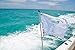 South Wind Designs Boating Flagpole for Rod Holders and/or Rocket Launchers (3' Pole)