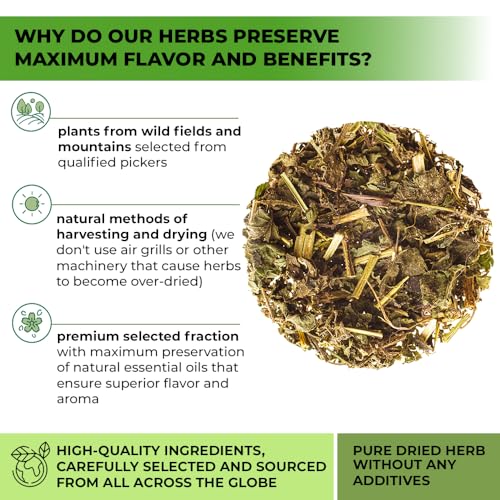 Image of 100 Bags Nettle Leaf Tea Ortiga Dried Nettle Herb Planta Bulk (Urtica Dioica) - 100 Count 1.5g Tea Bags Herb Hojas De Ortiga