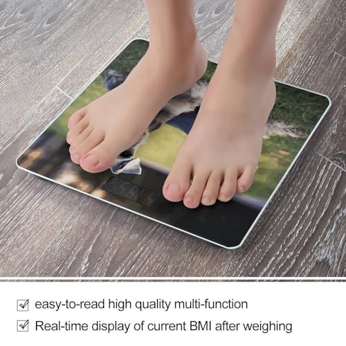 Báscula Digital para Baño de Alta Precisión miniatura 5