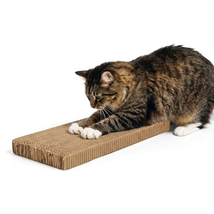 EveryYay by Petco Scratchin' the Surface - Recambios de cartón de doble ancho para rascadores de gatos, 18 pulgadas de largo x 9 pulgadas de ancho x 4,45 cm de alto, paquete de 2