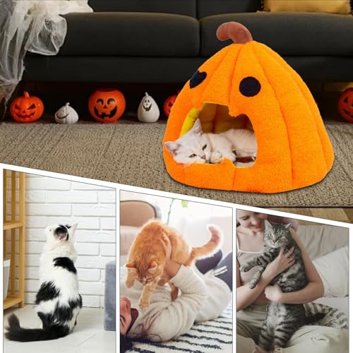 Lit chaud pour chat style citrouille avec grotte douce et moelleuse