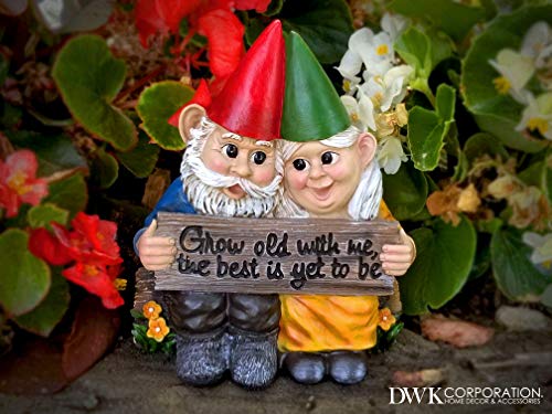 Dwk - Growing Old Together - Garden Gnome Couple In Love Collectible Figurine Best Friends Lovers Romantic Statue Indoor Outdoor Garden Patio Home Décor, 5.75-Inch #TOP6