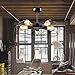 BAYCHEER Semi Flush Mount Ceiling Light Vintage Pendant Lights Industrial Chandelier Black Metal Cage Hanging Fixture with 5 E26 Bulb Base for Hallway,Restaurant,Warehouse,Barn,Living Room,UL Listed