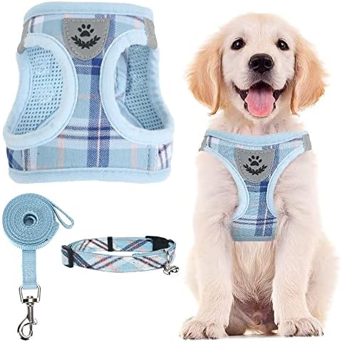 PUPTECK Adjustable Pet Harness Collar and Leash Set Step in for Small Dogs Puppy and Cats Outdoor Training and Running, Soft Mesh Padded Reflective Vest Harness Cover