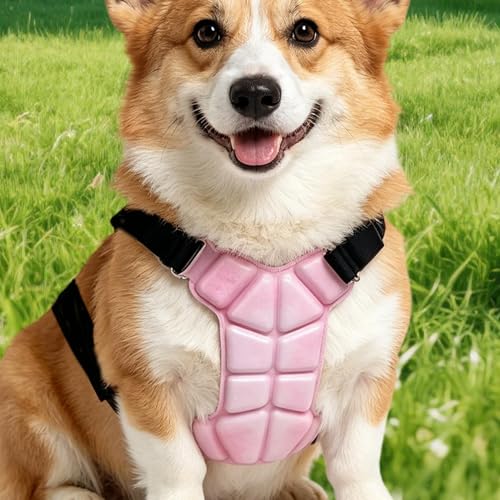 Chaleco de verano para perro con correa ajustable para cachorros 4
