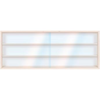 Display Case Hanging Display Cabinet V-80.3a Collectors Display Cabinet with Track - 80 x 30 x 8.5 - H0 & N Shelf 80 cm 3 Levels with Grooves Alsino