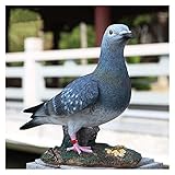 Las buenas opciones para decorar jardines y patios hacen que estos lugares sean animados.