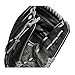 WILSON WTA03RB1712 A360 Baseball Glove, 12