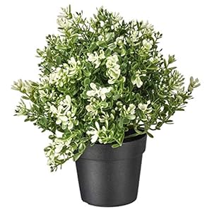PAPERI Artificial Thyme Plant for Home Décor – Living Room Decoration Items, Office Desk Show Pieces, Fake Plant for Bathroom Decorations, Indoor Decorative Plastic Green Leaves with Pot for Table