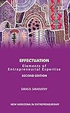 Effectuation: Elements of Entrepreneurial Expertise (New Horizons in Entrepreneurship series)