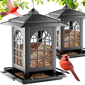 Birdream 2 Pack Bird Feeders for Outdoor Hanging, Assembly Required, 1-Min Easy Setup, Classic Courtyard Design, Attracting Cardinals Chickadees Goldfinches & Sparrows, Total 7 LB – Black